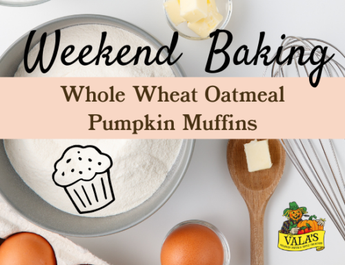 Weekend Baking: Pumpkin Muffins (In the Spring!)